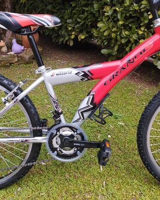 MTB Grandis 24 pollici 