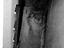 Immagine 8