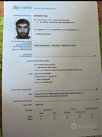 Ristorazione,addetto vendite,manovale