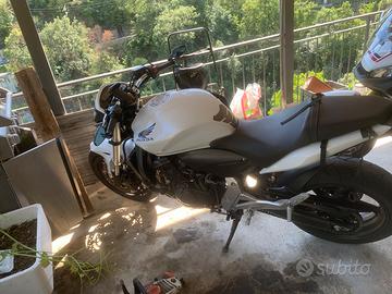 honda hornet