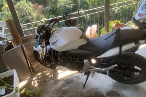 honda hornet