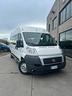 fiat-ducato-trasporto-disabili-tetto-alto-passo-lu