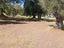 Immagine 23