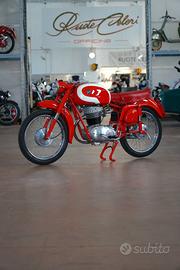 MV Agusta 175 Sport 1957 - Restauro Totale