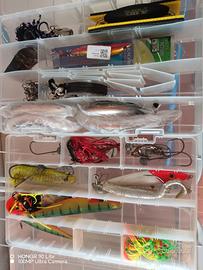 artificiali da pesca al siluro