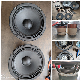 Riconatura altoparlanti