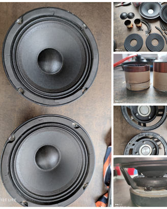 Riconatura altoparlanti