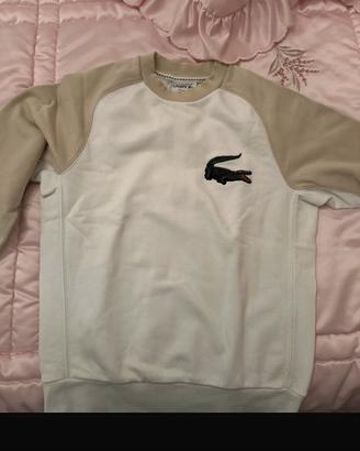 Maglione Lacoste