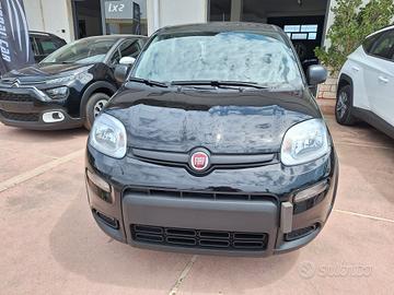 Fiat Panda Pandina 1.0 FireFly 65 CV Hybrid Pop