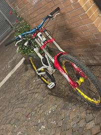 Bici da dh