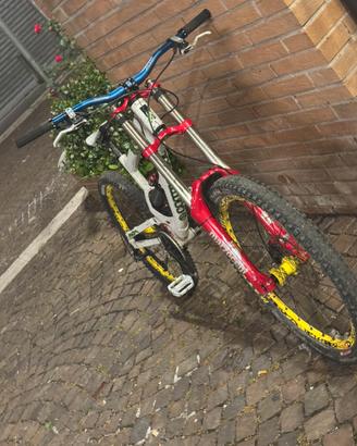 Bici da dh
