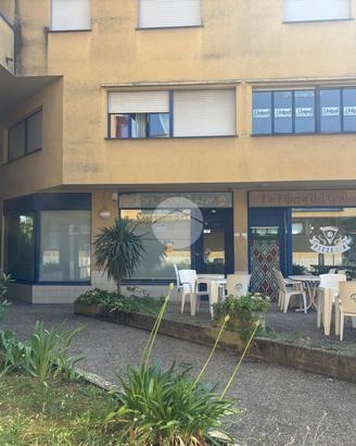 ATTIVITÀ A COLLI AL METAURO