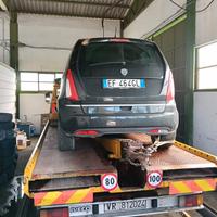 Lancia Musa incidentata 