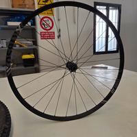 Cerchi Mtb DT swiss 1650