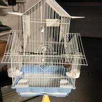 Gabbia volatili con piedistallo