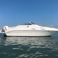 Sea ray 230 cabinata con fuoribordo