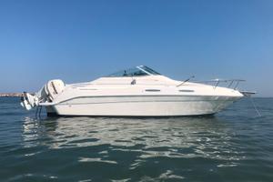 Sea ray 230 cabinata con fuoribordo