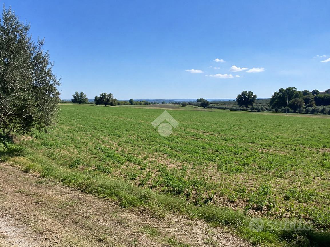 TER. AGRICOLO A BURAGO DI MOLGORA - Vista 3