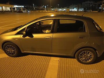fiat punto evo 