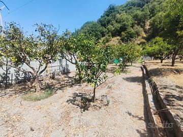 terreno agricolo Saponara 