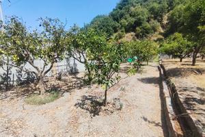 terreno agricolo Saponara 