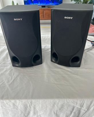 coppia cassa Sony-H650-80W