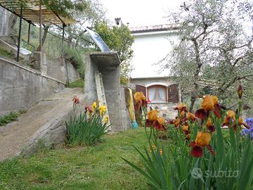 Villa singola con uliveto, vigneto e giardino