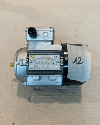 Motore Trifase 12