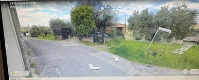 Terreno agricolo con uliveto