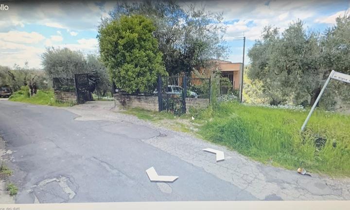 Terreno agricolo con uliveto