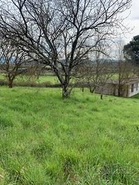 Terreno con fabbricati
