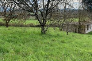 Terreno con fabbricati