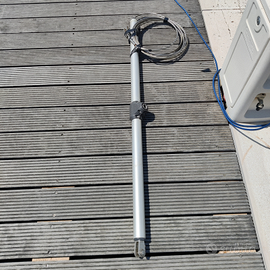 Tendipaterazzo Selden