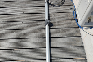 Tendipaterazzo Selden