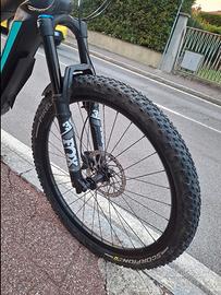 bianchi