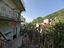 Immagine 8