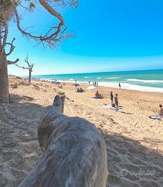 Appartamento Estivo fronte mare San leone