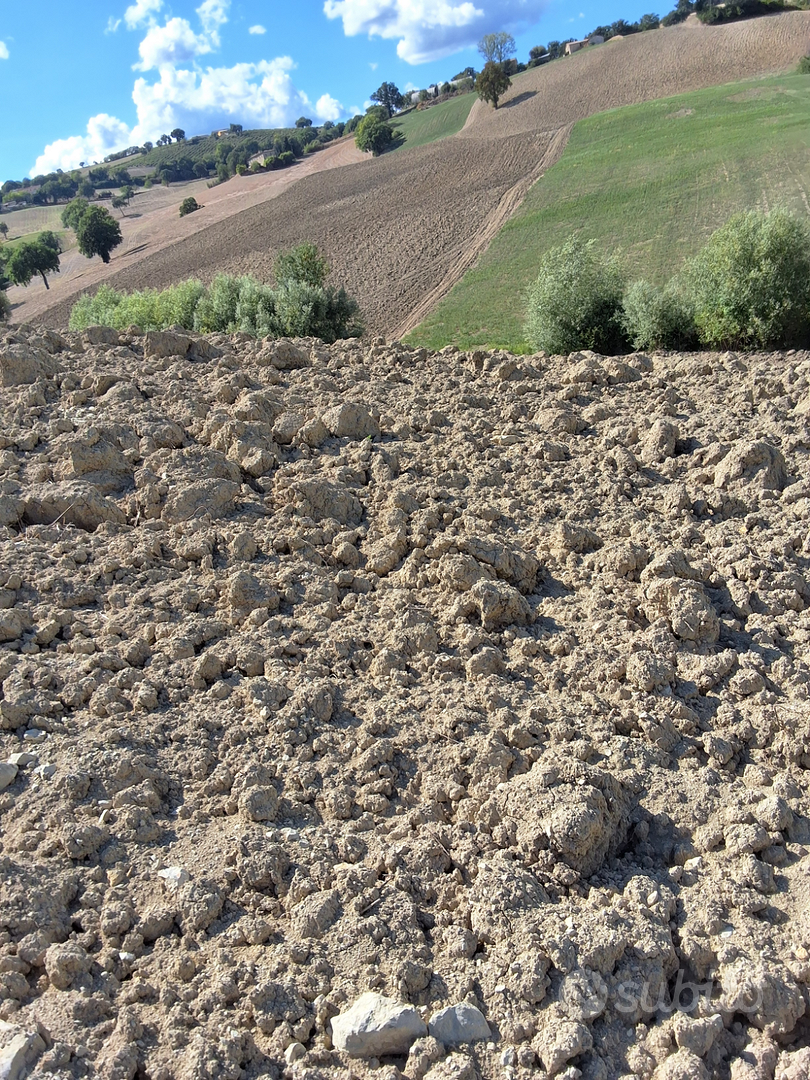 Appezzamento terreno agricolo - Vista 3