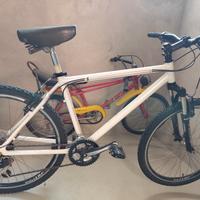 Mountain bike 