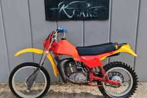 Moto GORI G-81
