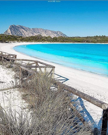 Sardegna Settembre/Ottobre San Teodoro