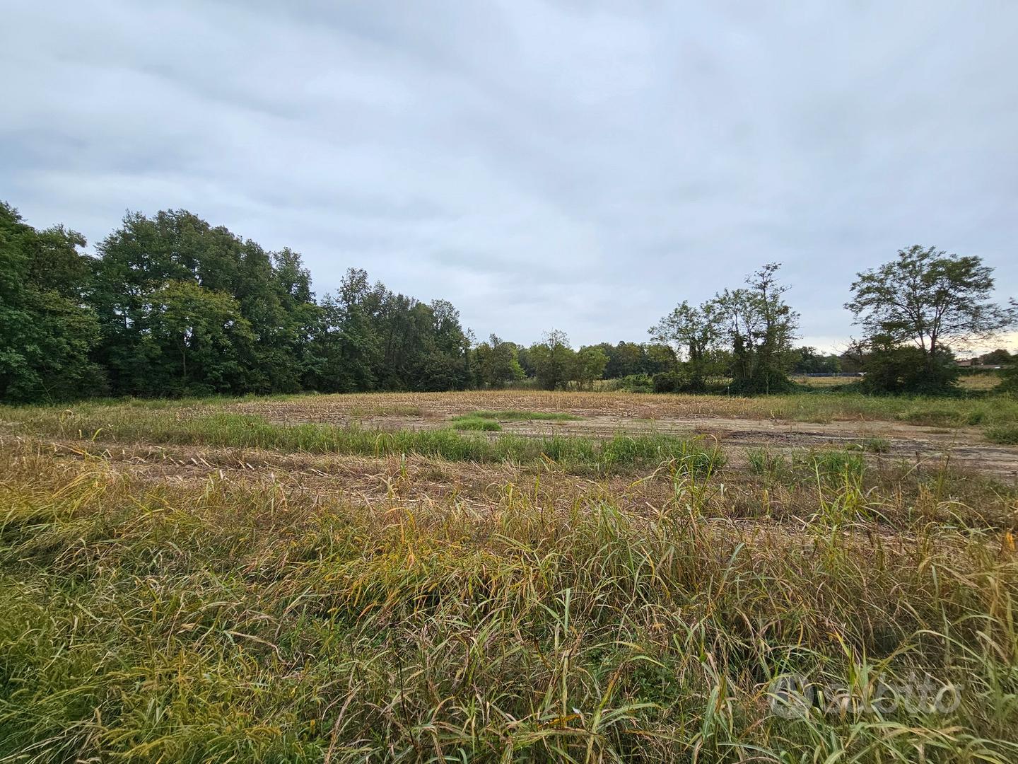 Terreno in via Privata per Monguzzo-Anzano - Vista 2