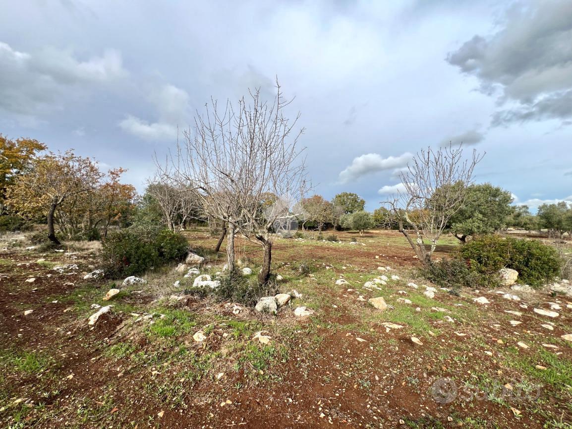 TER. AGRICOLO A CEGLIE MESSAPICA - Vista 2
