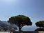 Immagine 11