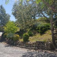 Magazzino Collesalvetti [A4296683]