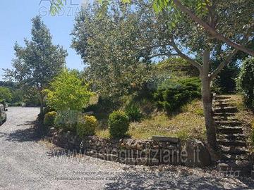 Magazzino Collesalvetti [A4296683]