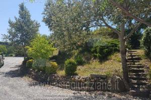 Magazzino Collesalvetti [A4296683]