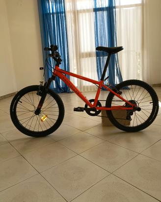 Bici taglia 20
