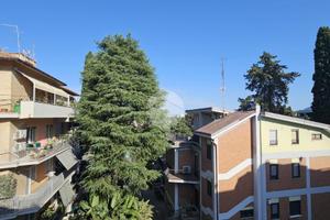4 LOCALI A ROMA