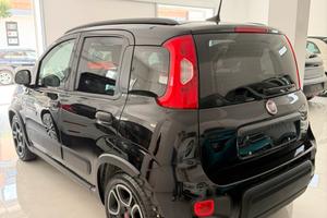 panda hybrid 2021